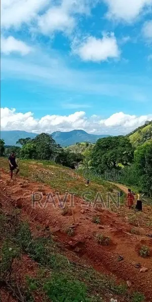 Land for Sale - Matale Rattota