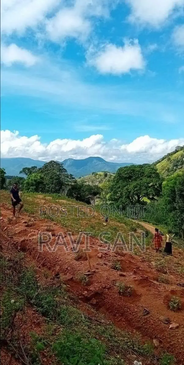 Land for Sale - Matale Rattota