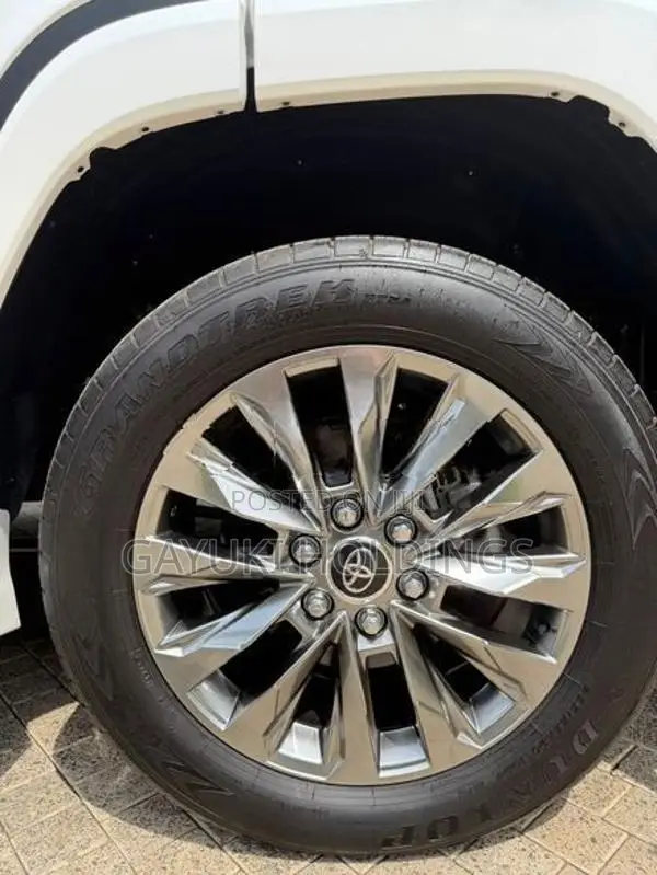 Toyota Land Cruiser Sahara 300 Modellista 2024