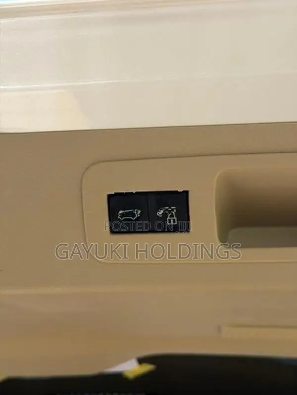 Toyota Land Cruiser Sahara 300 Modellista 2024