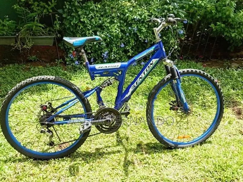 Mountain bike