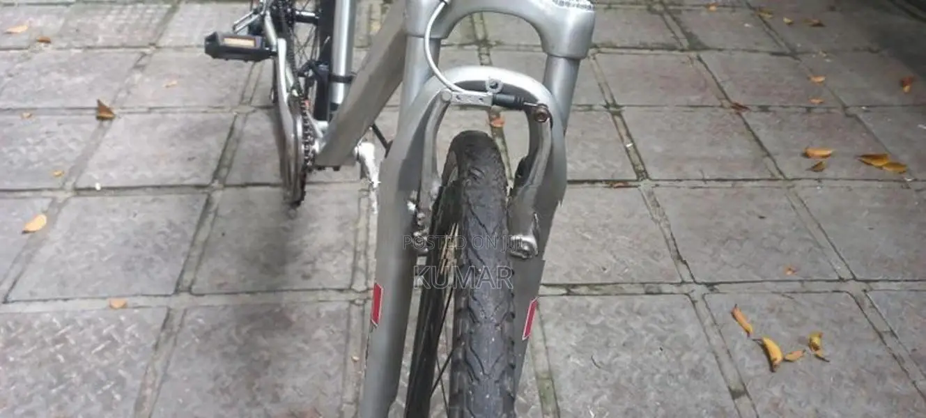 Chevaux Alloy Mountain Bicycle