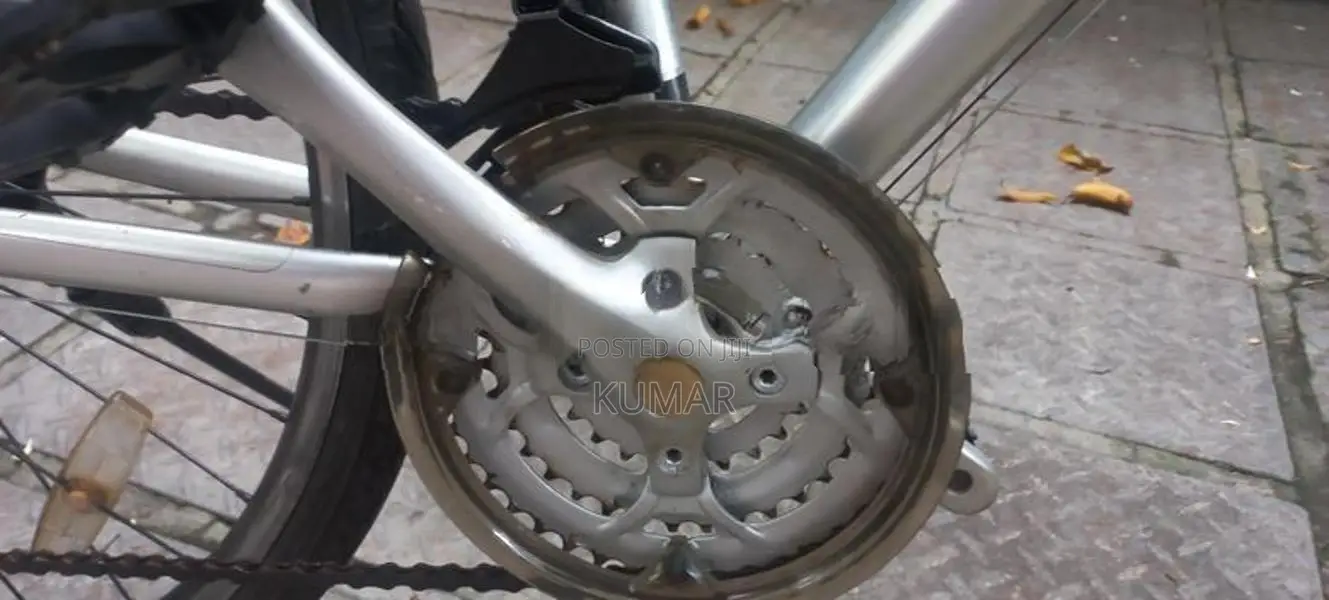 Chevaux Alloy Mountain Bicycle