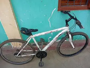 mountain bicycle ...
