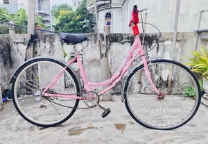 BICYCLE SALE