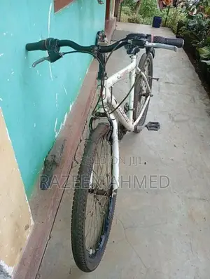 mountain bicycle ...