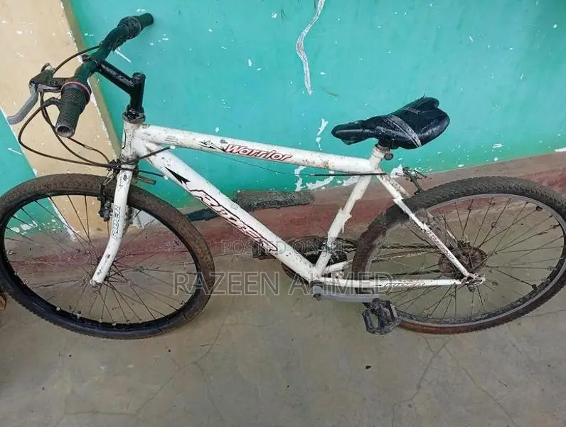 mountain bicycle ...