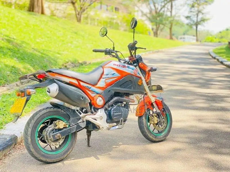 Dayun Mini 110 2017