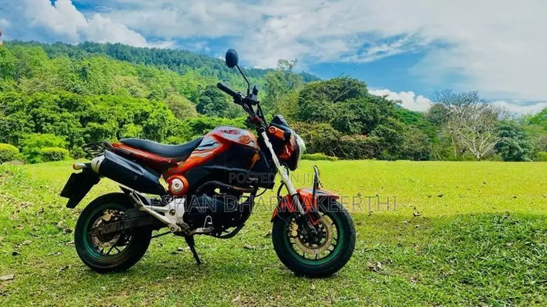 Dayun Mini 110 2017
