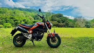 Dayun Mini 110 2017