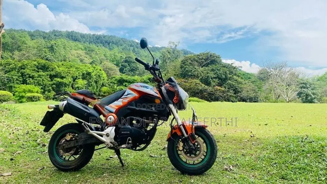 Dayun Mini 110 2017