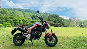 Dayun Mini 110 2017