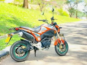 Dayun Mini 110 2017