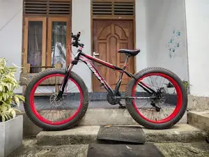 Fat tire bicycle