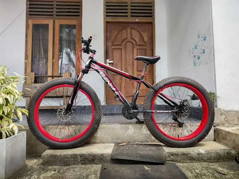 Fat tire bicycle
