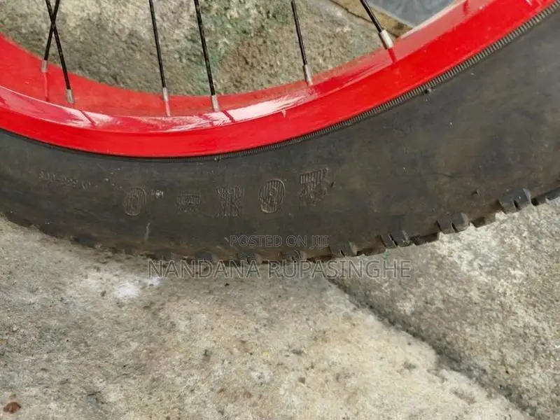 Fat tire bicycle