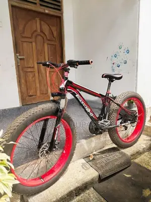 Fat tire bicycle