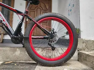 Fat tire bicycle