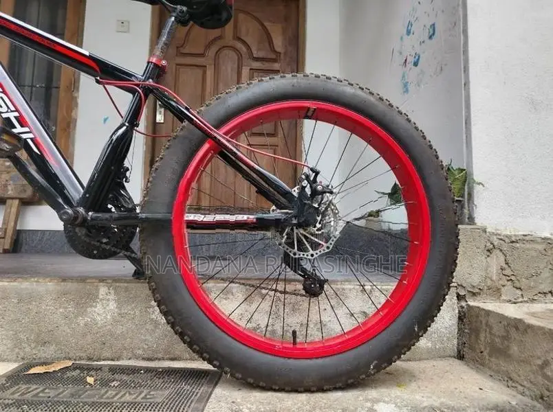 Fat tire bicycle