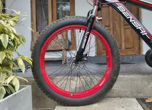 Fat tire bicycle