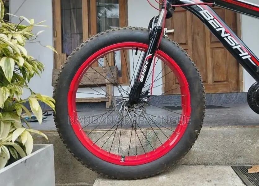 Fat tire bicycle