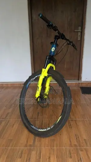 Contino Bert Mountain bike