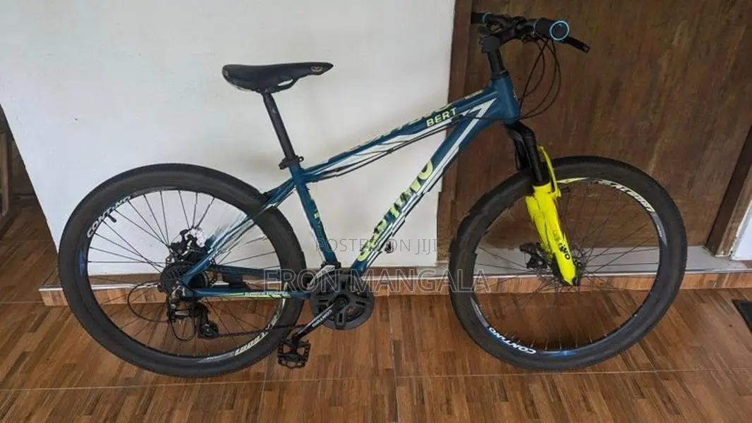 Contino Bert Mountain bike