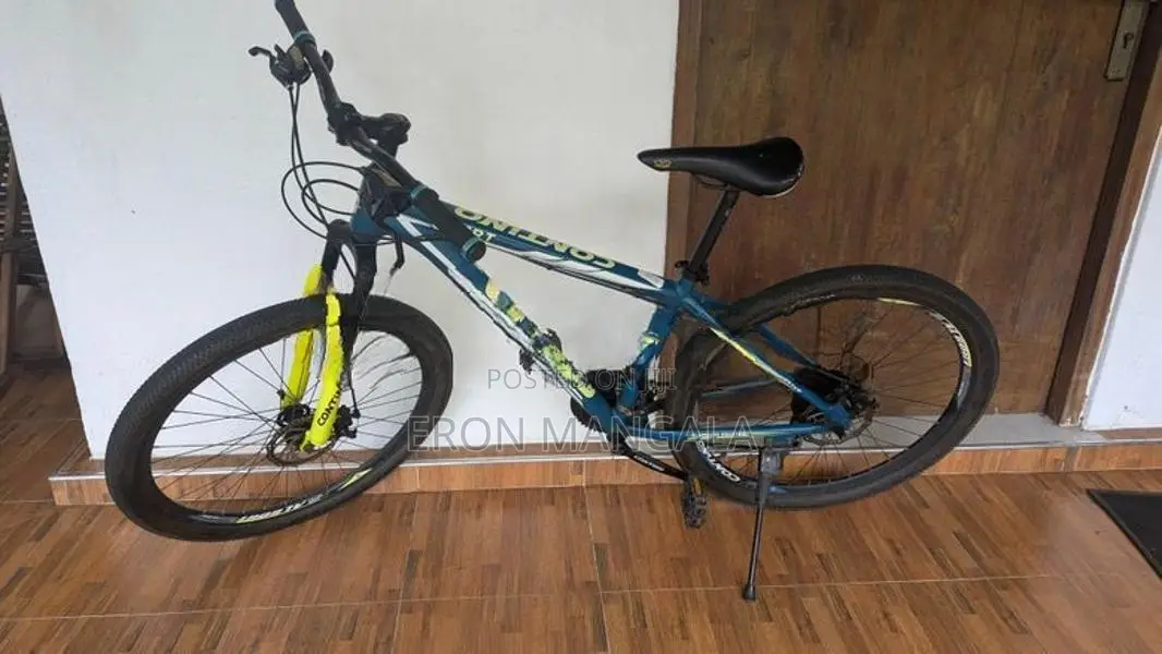 Contino Bert Mountain bike