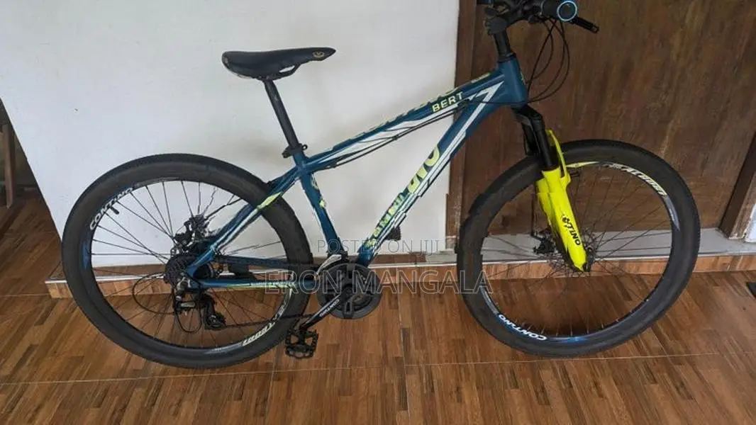 Contino Bert Mountain bike