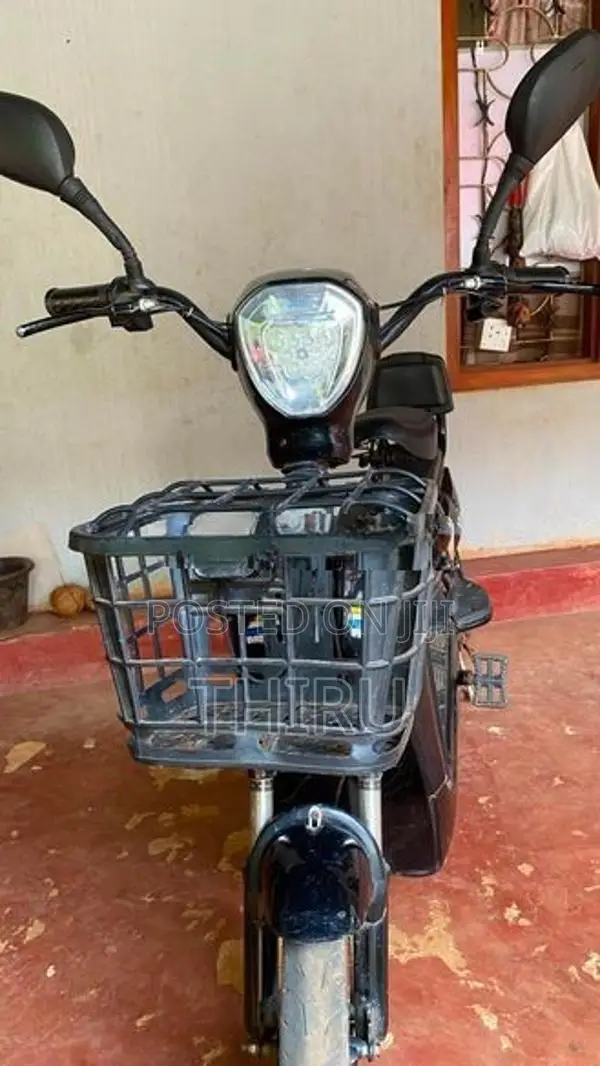 Electric Bike 2025