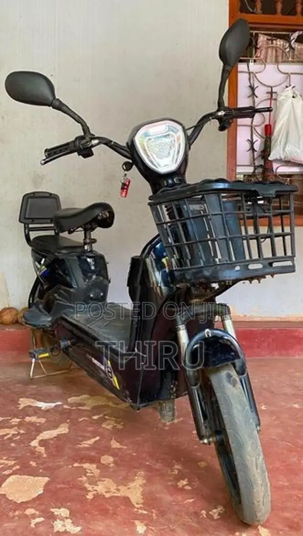 Electric Bike 2025