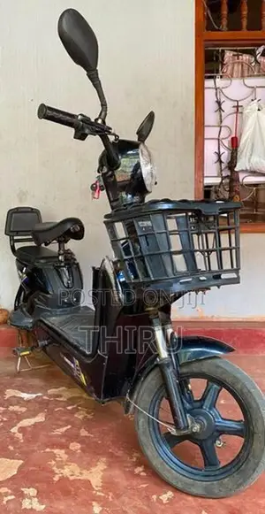 Electric Bike 2025