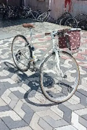 Japan Bicycle