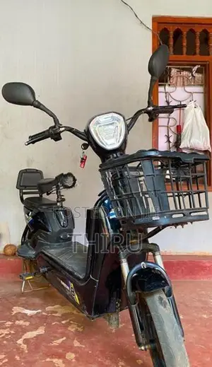 Electric Bike 2025
