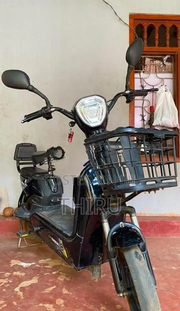 Electric Bike 2025