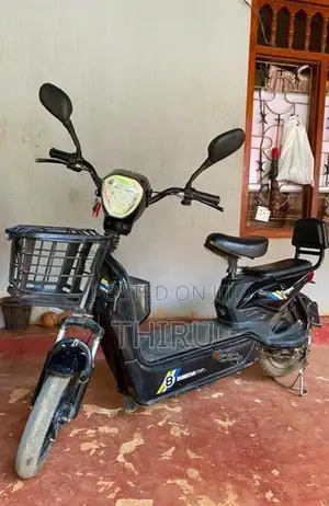 Electric Bike 2025