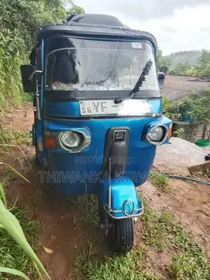 Bajaj tree wheel 2010
