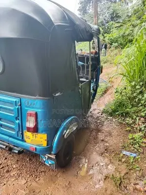 Bajaj tree wheel 2010
