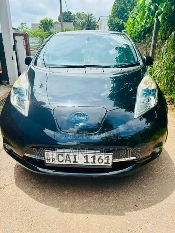 Nissan Leaf 2013