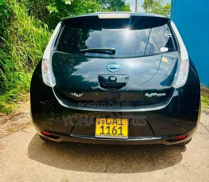 Nissan Leaf 2013