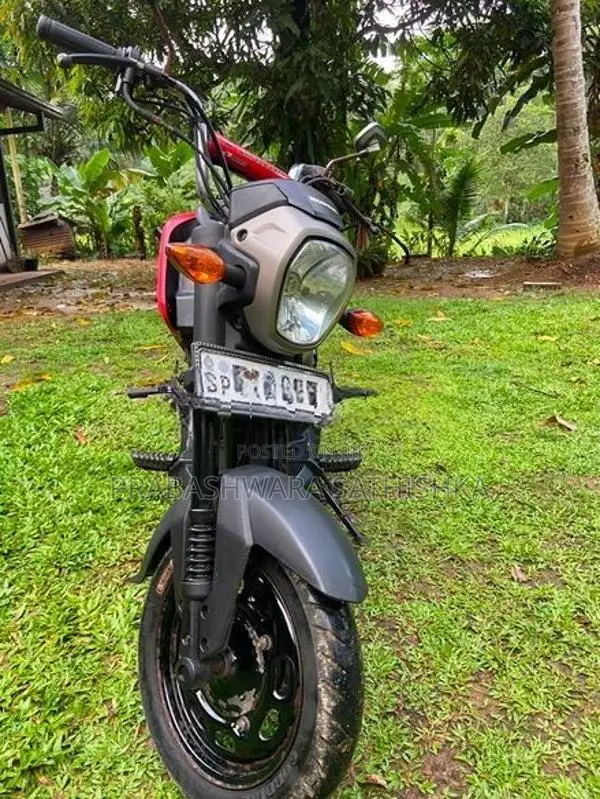 Honda Navi 2019