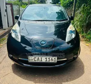 Nissan Leaf 2013
