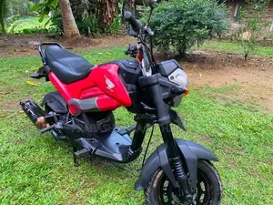 Honda Navi 2019