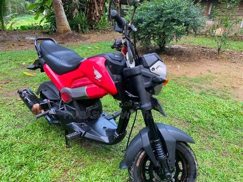 Honda Navi 2019