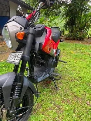 Honda Navi 2019