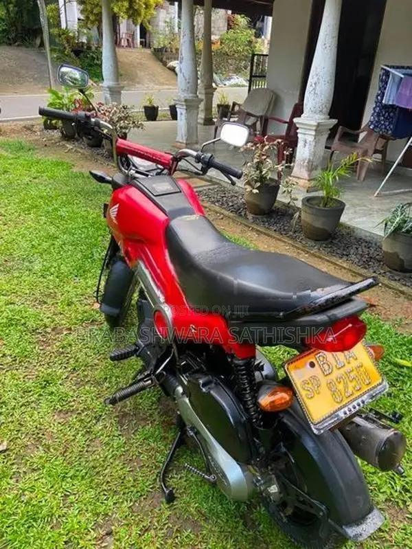 Honda Navi 2019