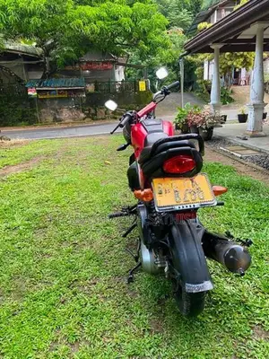 Honda Navi 2019