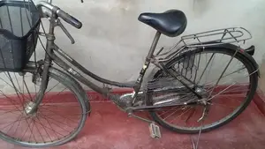 Kenton Bicycle