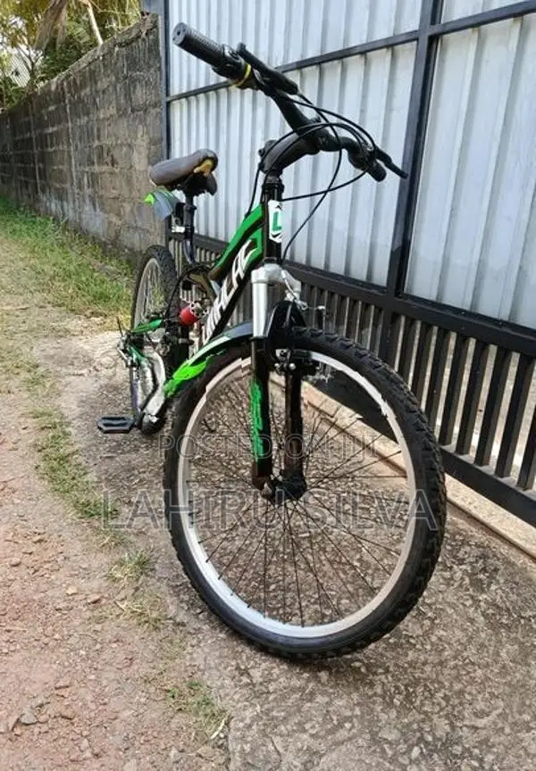 Mountain Bicycle
