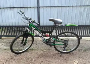 Mountain Bicycle